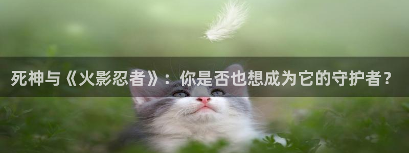 99视频30在线：死神与《火影忍者》：你是否也想成为它的守护者？