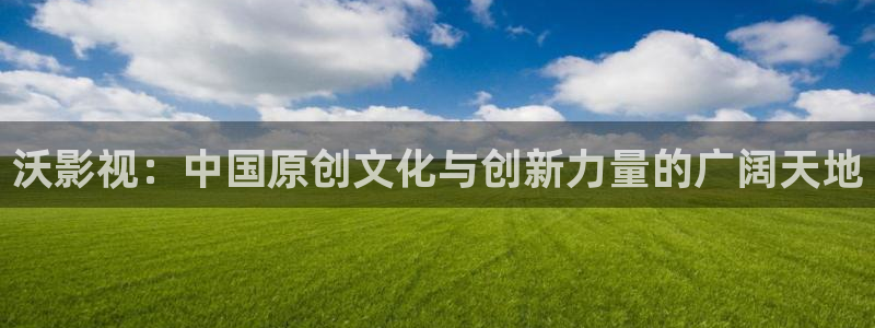 国产精品99视频