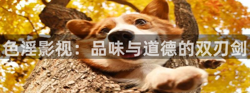 99视频在线播放观看