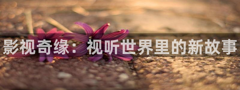 99视频这里全是精品