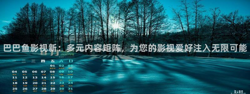 99视频区