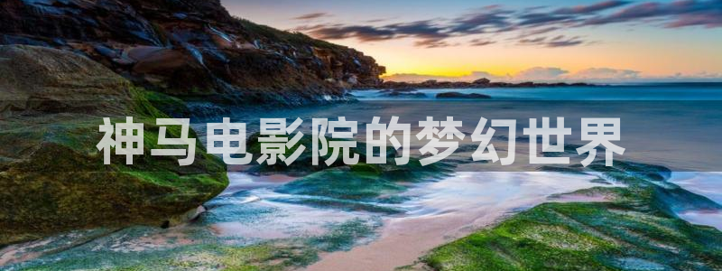 99视频精品这在在线观看