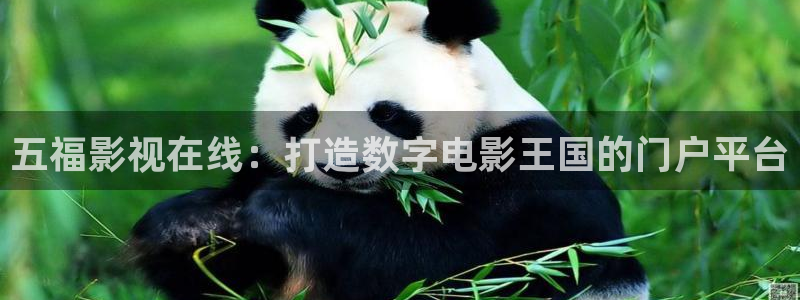 99视频在线视频免费