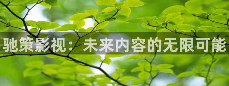 99视频在线这里只有精品