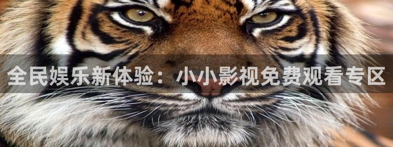 在线观看视频99视频