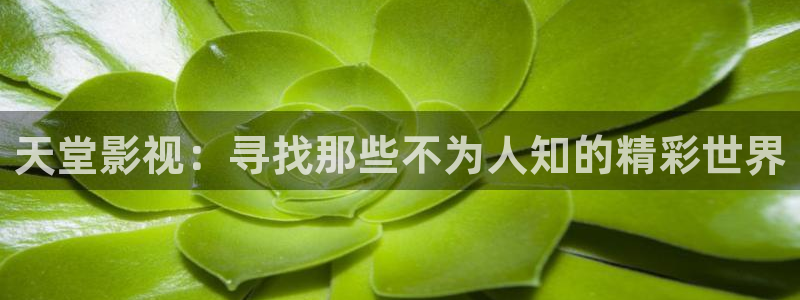 99视频在线观看视频一区二区三区