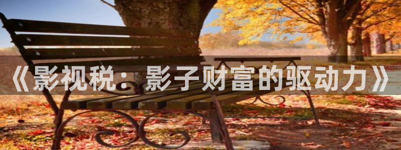 精品久久99视频