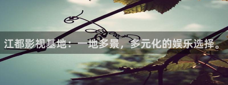 99视频有精品视频在线